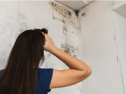 Atasi Masalah Jamur dan Lumut pada Dinding Rumah dengan Cara Ini