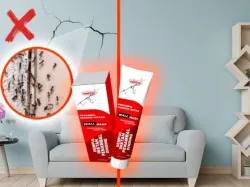 Fix Dinding Retak Gak Pake Ribet Pakai Additon Wallpass Aja Gengs